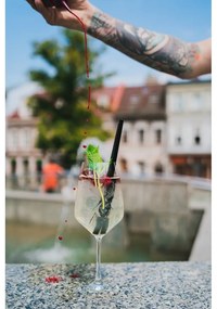 6 db-os fekete üveg szívószál készlet, hosszúság 20 cm - Vialli Design