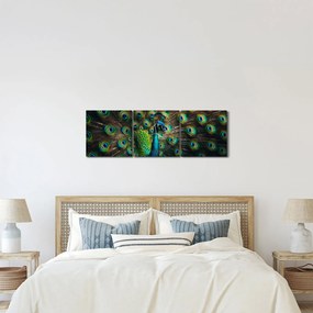 Kép – Pávatoll (órával) (90x30 cm)