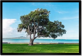 Poszterek keretben 60x40 Törhetetlen