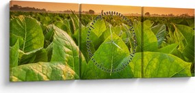 Kép - Mező (órával) (90x30 cm)