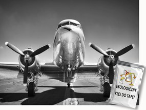 Fotótapéta Flizelina Közlekedés Repülőgép Repülőtér 400x280 ragasztó