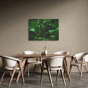 Kép - Pálmalevél (üvegen) (70x50 cm)