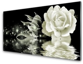 Akrilüveg fotó Rózsa Virág Plant 100x50 cm
