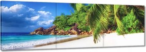 Vászonkép 120x40 Trópusok Tájkép Pálmafák