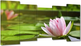 Vászonkép 150x80 Vízi liliom