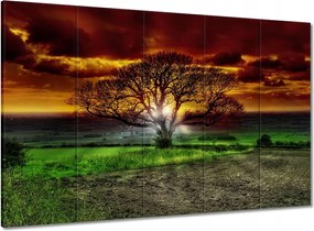 Vászonkép 100x70 Varázslatos fa tájkép