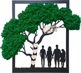 Fa moha mintás Család 50cm moha mintás Design