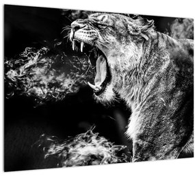 Kép - nőstény oroszlán portré (üvegen) (70x50 cm)