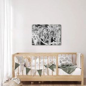 Kép - Fagyott levelek, fekete-fehér (70x50 cm)