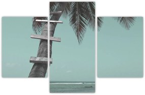 Kép - Palma a Karib-tengeren (90x60 cm)