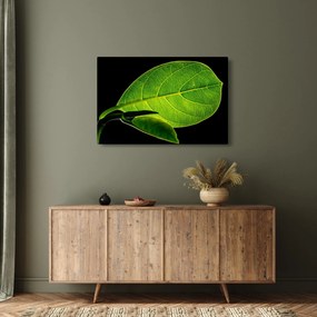Kép - zöld levél (90x60 cm)