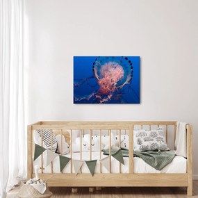 Medúza képe (70x50 cm)
