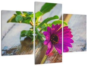 Vágott virágok képe (90x60 cm)