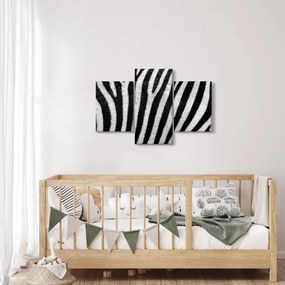 Kép egy zebra bőrről (90x60 cm)