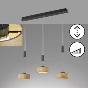 Fischer&Honsel SHINE-WOOD 61093 Lepel lámpa 3x9W/LED 2700K 2900 lm IP20