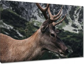 Vászonkép 90x60 Szarvas felszarvazott