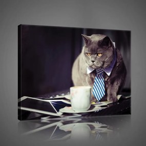 Nyakkendős macska, vászonkép, 60x40 cm méretben