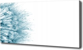 Canvas falikép Pitypang 120x60 cm