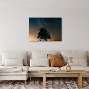 Egy éjszakai égbolt fákkal képe (70x50 cm)