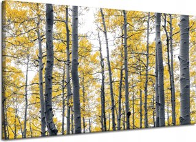 Vászonkép Nyírfák Sárga levelek Természet Tavasz 120x70 cm