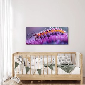 Kép - Caterpillar (120x50 cm)