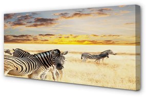 Canvas képek Zebrák mező naplemente 100x50 cm