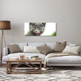 Nyaló cica képe (120x50 cm)