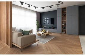 Rabalux 70108-LED Spotlámpa 1 fázisú sínrendszerhez LiTrack LED/5W/24V 3000K