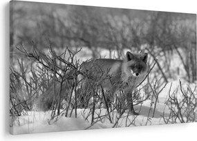 Kép - Róka télen (90x60 cm)