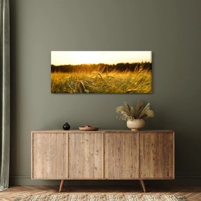 Harmatos fű képe (120x50 cm)