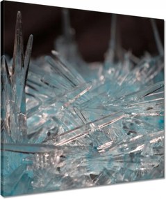 Vászonkép 50x50 Makrofotó MacroFoto