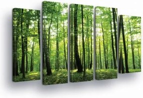 Vászonkép 150x100 Naperdő zöld természet fény árnyék fák nyugalom