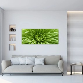 Kép - Makro kép egy növényről (120x50 cm)