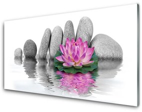 Akrilüveg fotó Virág Stones Art 120x60 cm