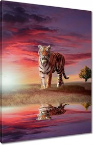 Vászonkép 60x80 Tigris