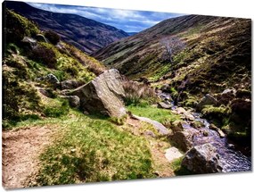 Vászonkép 90x60 Hegyi patak