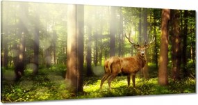 Vászonkép 60x30 Szarvas a varázslatos erdőben