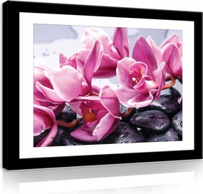 Vászonkép 100x75 Orchidea rózsaszín kövek cseppek spa pihenés természet virágok
