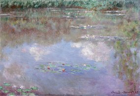 Reprodukció Tavirózsák, Claude Monet