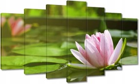 Vászonkép 140x80 Vízi liliom