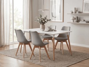 Étkezőgarnitúra 1 + 4, fehér ADRIA asztal 120x80 cm + világosszürke BALI MARK szék bükk lábakkal