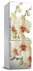 Hűtő matrica Orchidea FridgeStick-70x190-f-102443917