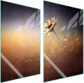 7in1 Üveg védőlap tűzhelyhez 2x35x52 Virág