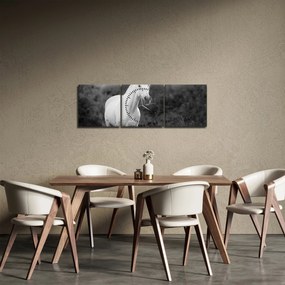 Egy fehér ló képe egy réten, fekete-fehér (órával) (90x30 cm)