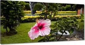 Vászonkép 180x90 Virágok