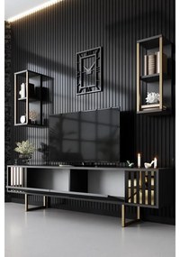 TV szekrény Gold Line - Anthracite, Black