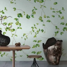 Fali fotótapéta Kúszó levelek Borostyán a Flizelin