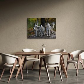 Üveg kép - Farkasok a sziklán (70x50 cm)