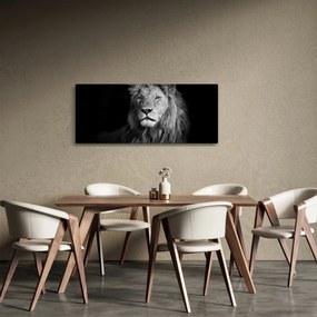 Kép - Oroszlán, fekete-fehér (120x50 cm)