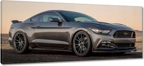 Képek 100x40 Ford Mustang made in Usa